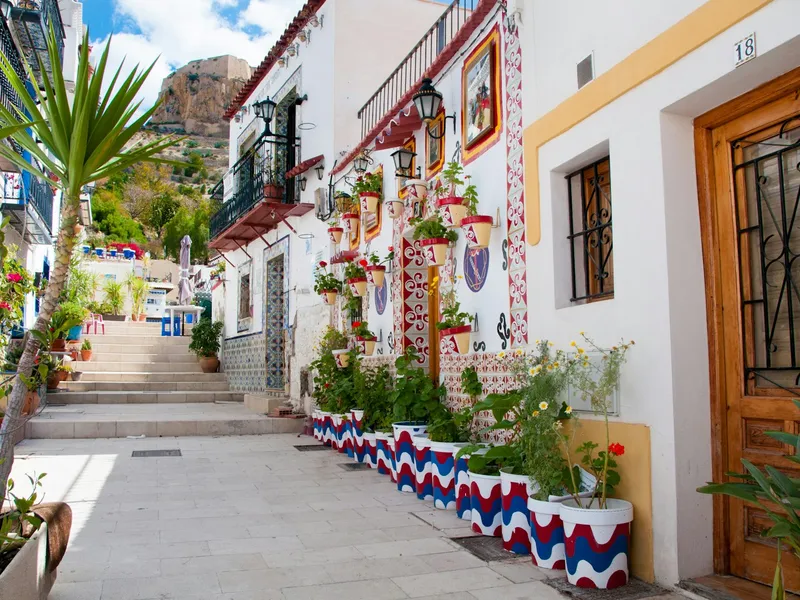 A narrow street with potted plants next to a building in Alicante