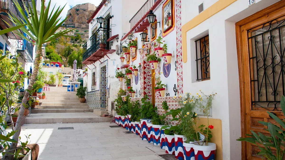 Calle estrecha con plantas en macetas junto a un edificio en Alicante